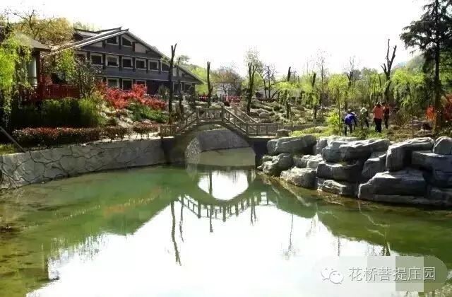 這個周末，隴南康縣花橋有大事要發(fā)生？