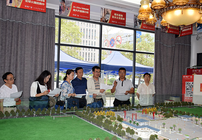 省、市聯(lián)合工作組蒞臨階州廣場檢查指導(dǎo)工作