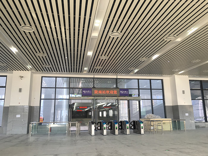 全國(guó)、省市政協(xié)委員體驗(yàn)蘭渝鐵路、視察階州廣場(chǎng)