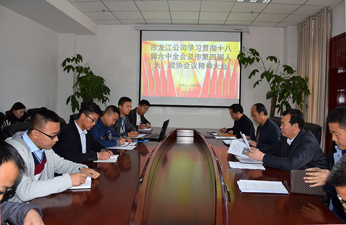 市龍江公司召開全體員工大會，專題傳達學(xué)習(xí)上級會議精神