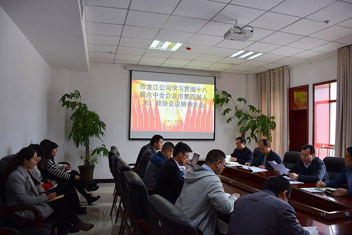 市龍江公司召開全體員工大會，專題傳達學(xué)習(xí)上級會議精神