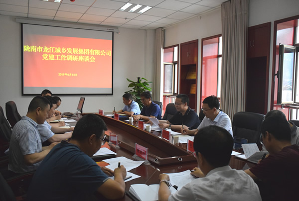 隴南市委常委、組織部部長楊郃調(diào)研指導(dǎo)市龍江城鄉(xiāng)發(fā)展集團公司黨建工作