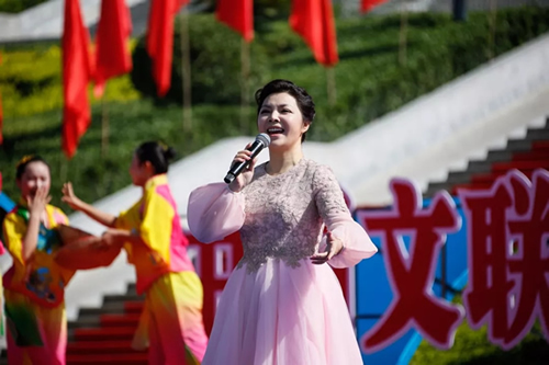 2019武都花椒產(chǎn)銷對(duì)接(電商)洽談會(huì)在階州廣場(chǎng)隆重開幕~