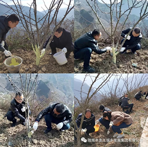 市龍江集團(tuán)在文縣橋頭鎮(zhèn)安子坡村開展“解難題、辦實(shí)事、送溫暖”活動