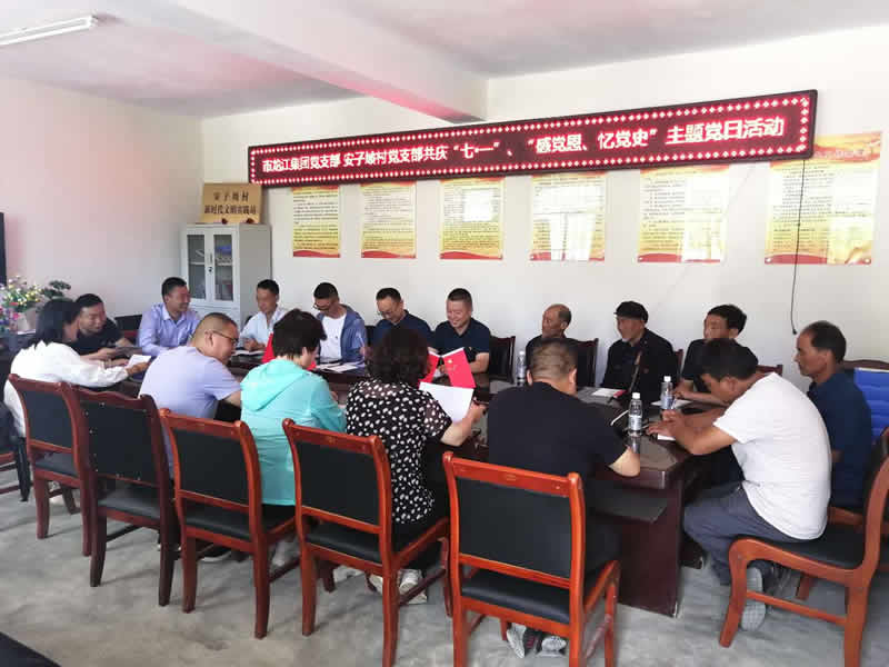 “感黨恩、憶黨史”，--市龍江城鄉(xiāng)發(fā)展集團公司開展慶祝建黨99周年主題黨日活動